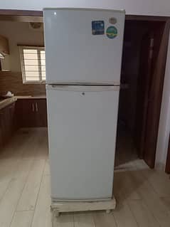 LG Refrigerator