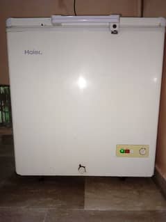 deep freezer Haier