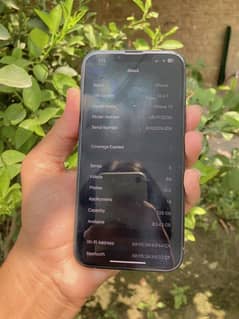 Iphone 13 non pta with complete box