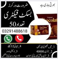 urgent need labours, factory workers,labour staff