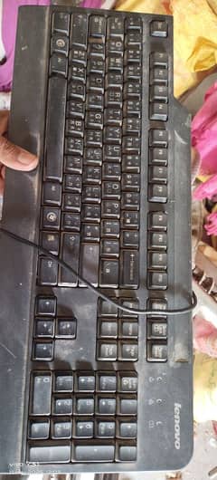 LCD