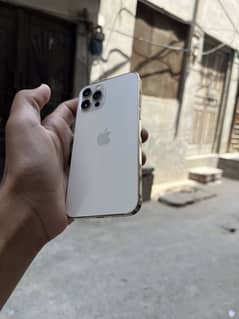03076902547