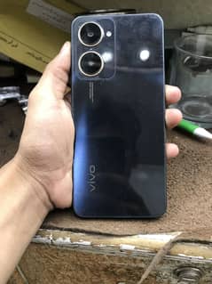 Vivo
