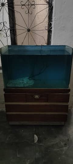 Fish Aquarium