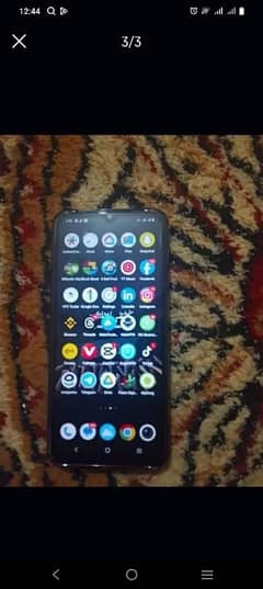vivo