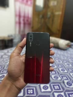 vivo
