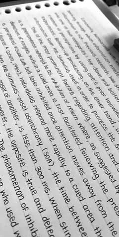 content writing