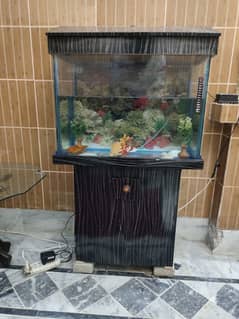 Aquarium