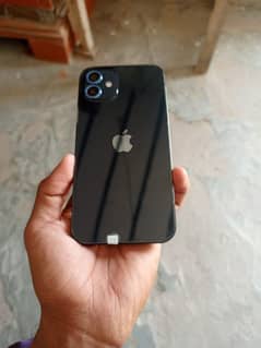 i phone 12 color black