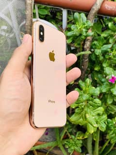 iPhone xs dual pta