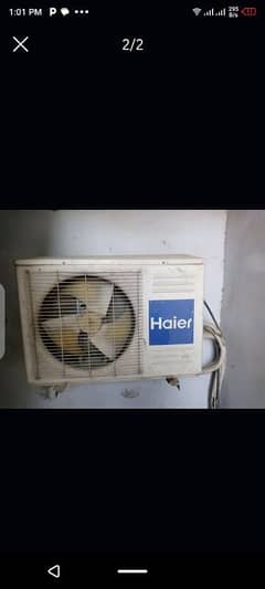 AC Day tan