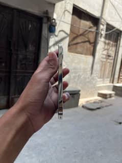 Iphone12pro