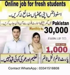 Online Home Based Work