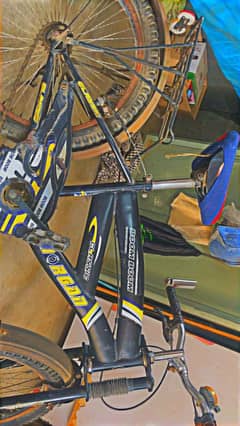 Morgan Bicycle