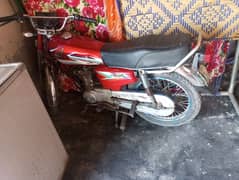 naveed