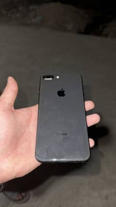 03150925494