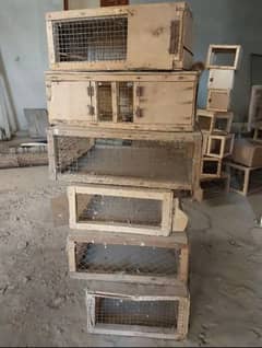 Parrot boxes available