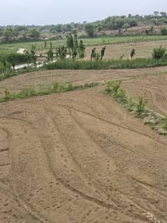 Farm