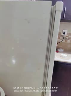 Mini Refrigerator