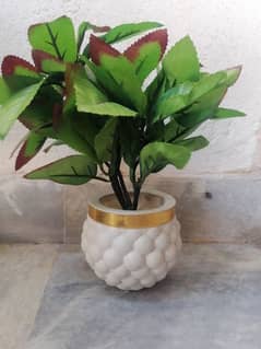 Decorative