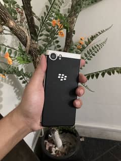 BLACKBERRY