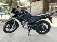 Ybr
