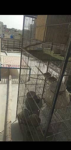 CAGES
