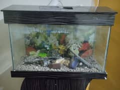 AQUARIUM 3 FT WITH FISH AND ALL ACCESSORIES INCLUDED