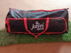 cricket kit used 1 month