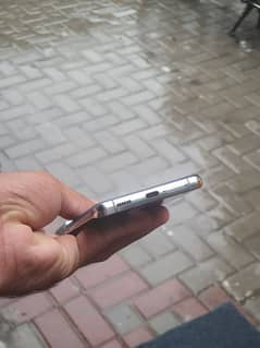 Glaxy