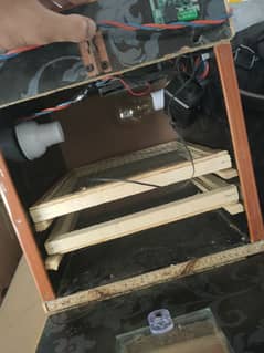 eggs incubator