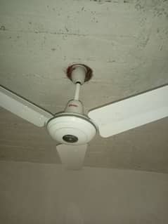 Urgent sale 99% copper