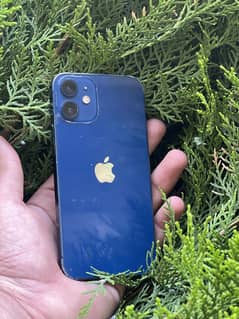 iPhone 12 Mini