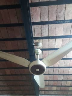 fan for sale