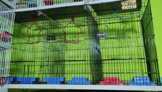 cages