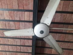 fan for sale