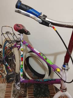 phoenix cycle