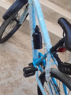 2025 new cycle