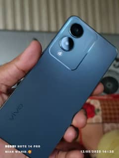 Vivo