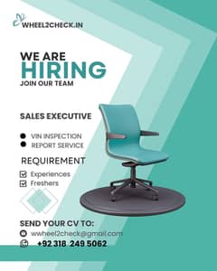 SALES EXECUTIVE