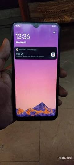 VIVO