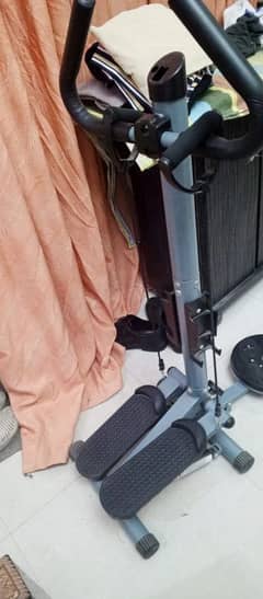 Standing stepper with twister and resistance bicep band