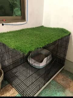 cat cage / Bird cage /cage