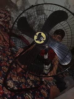 12 volt fan with supply .