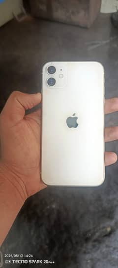 11 white