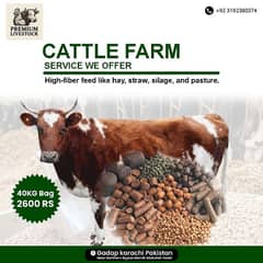cow feed