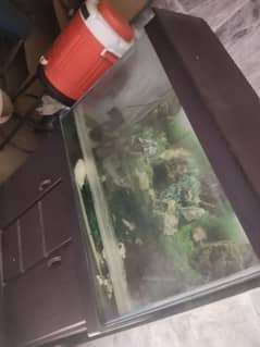 Fish Aquarium for sale