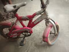 cycle