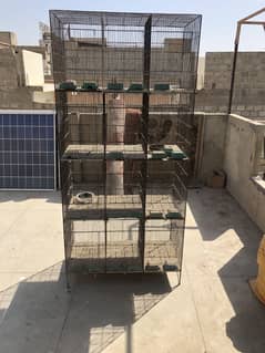Birds cage