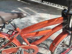 20 size cycle
